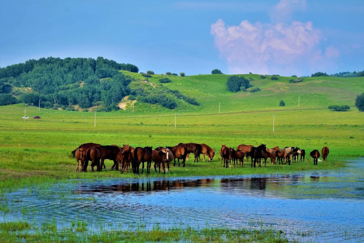 Ulanbutong Grassland